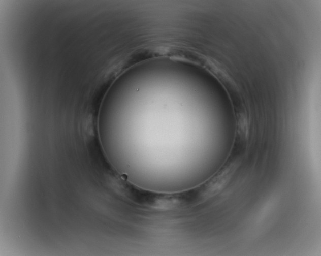 X0000114190470200910161208