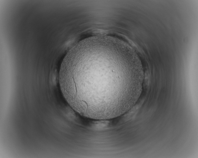 X0000114190474200910161208