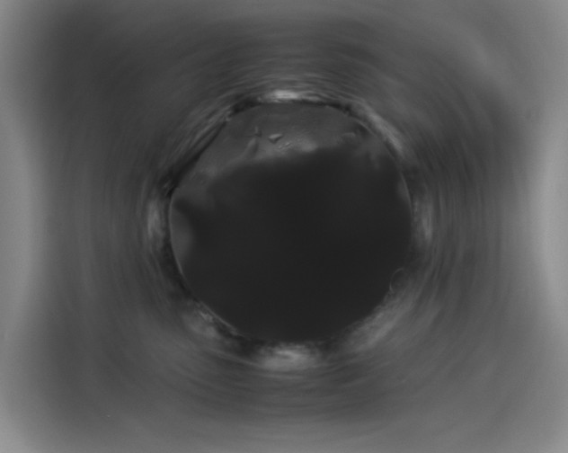 X0000114190475200910161208