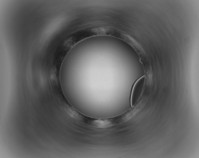 X0000114190477200910161208
