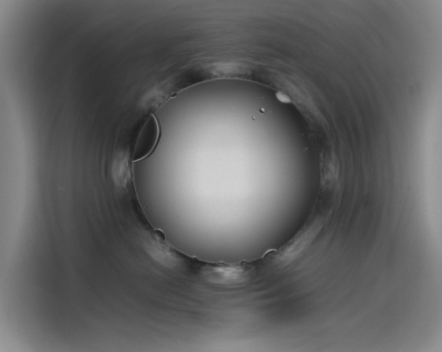X0000114190478200910161208