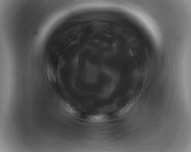 X0000114190479200910161208