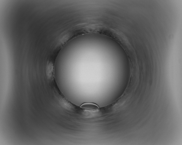 X0000114190480200910161208