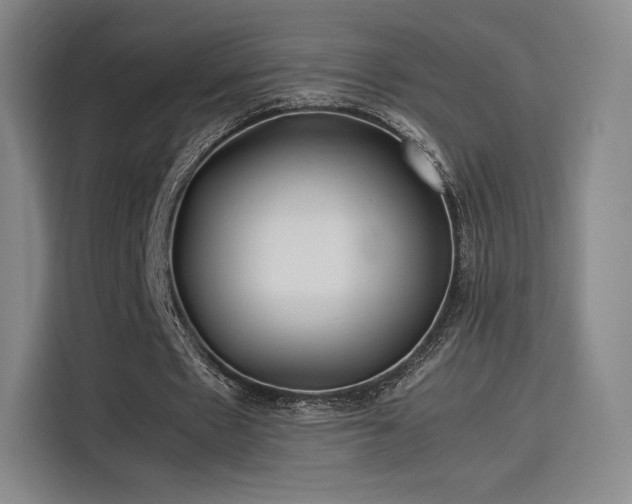 X0000114190481200910161208