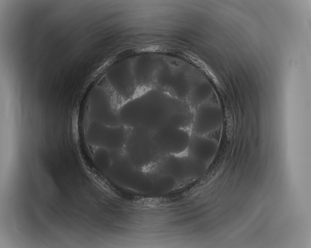 X0000114190482200910161208