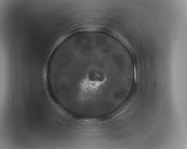 X0000114190483200910161208