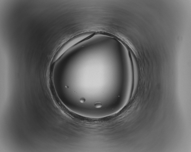 X0000114190485200910161208