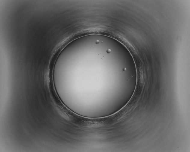 X0000114190486200910161208