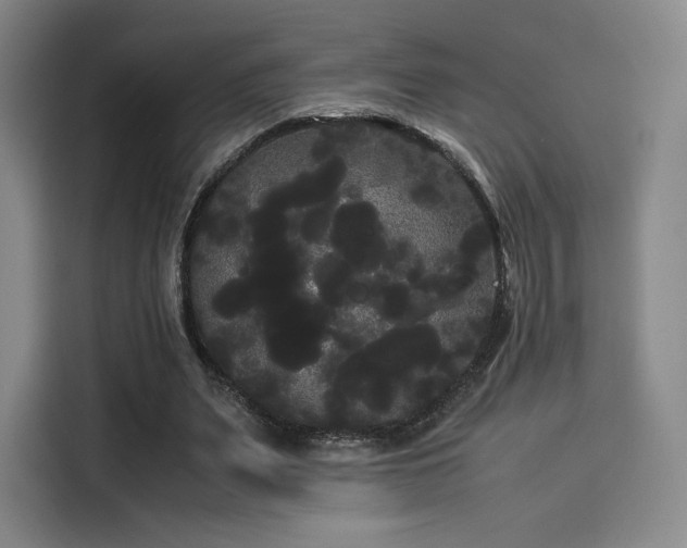 X0000114190487200910161208