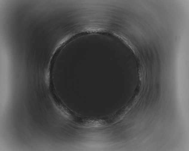 X0000114190488200910161208
