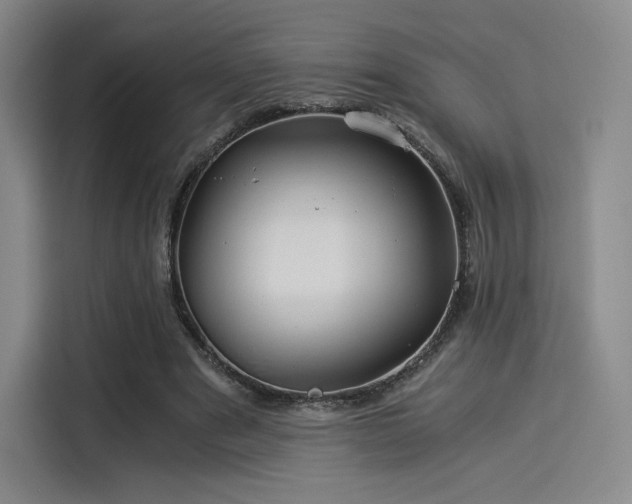 X0000114190489200910161208