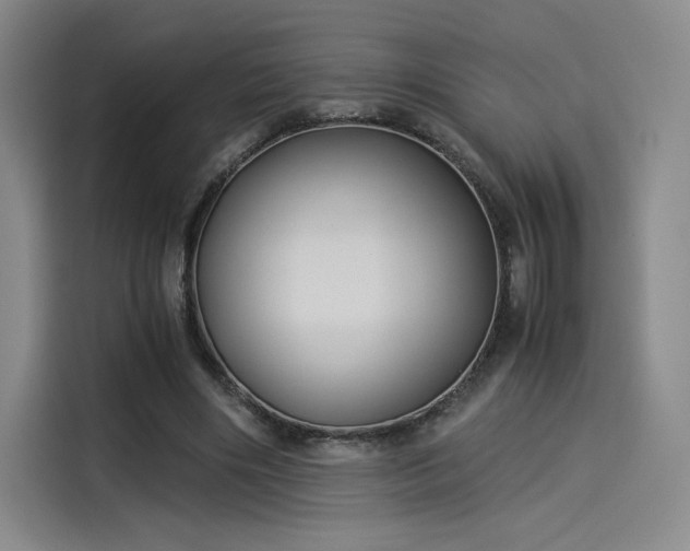 X0000114190490200910161208