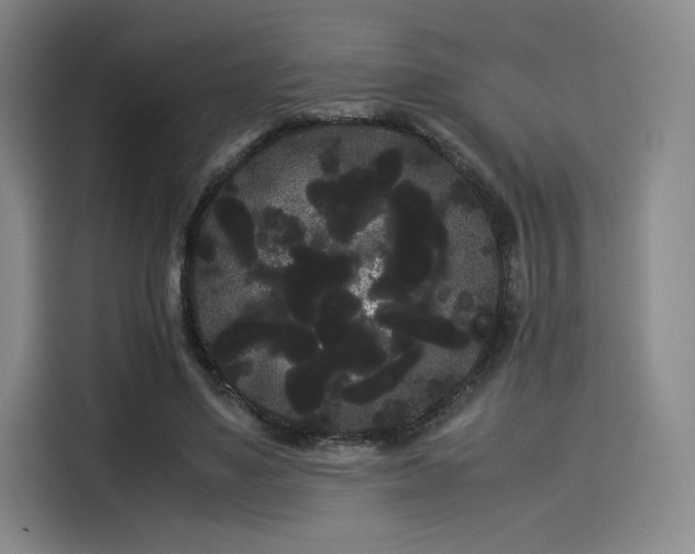 X0000114190491200910161208