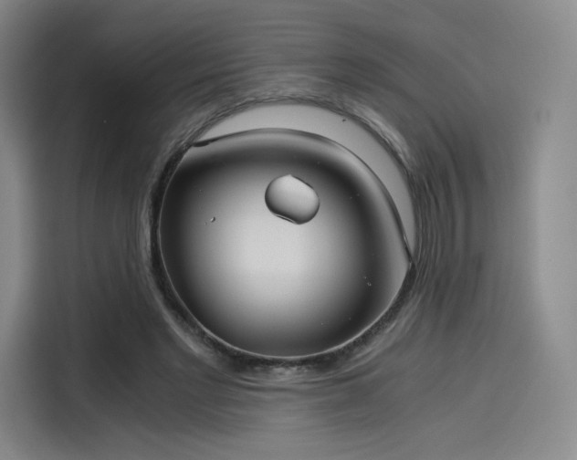 X0000114190493200910161208