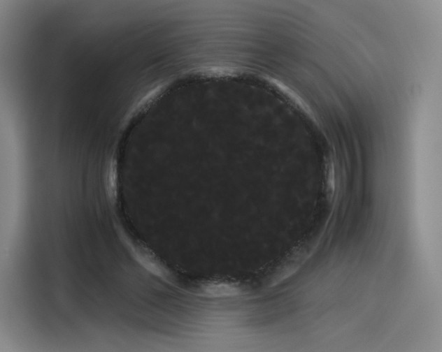 X0000114190494200910161208