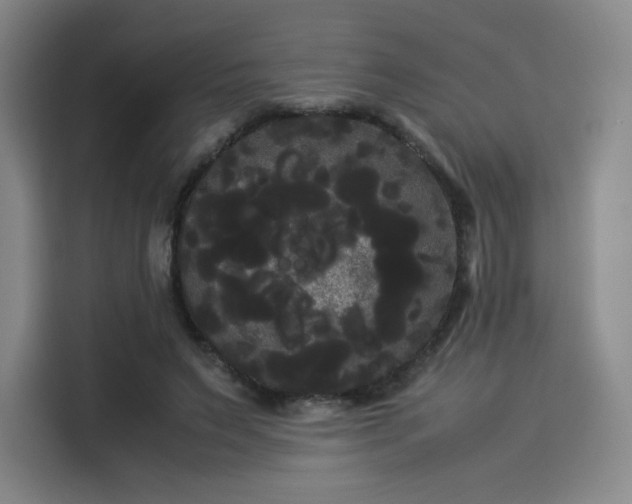 X0000114190495200910161207