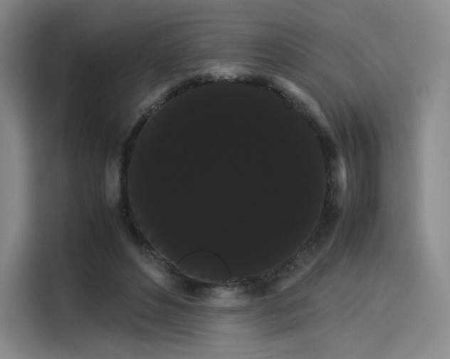 X0000114190496200910161207