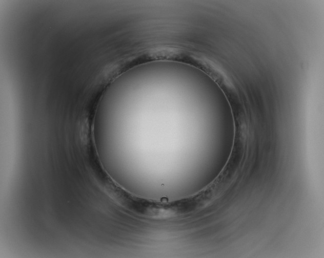 X0000114190498200910161207