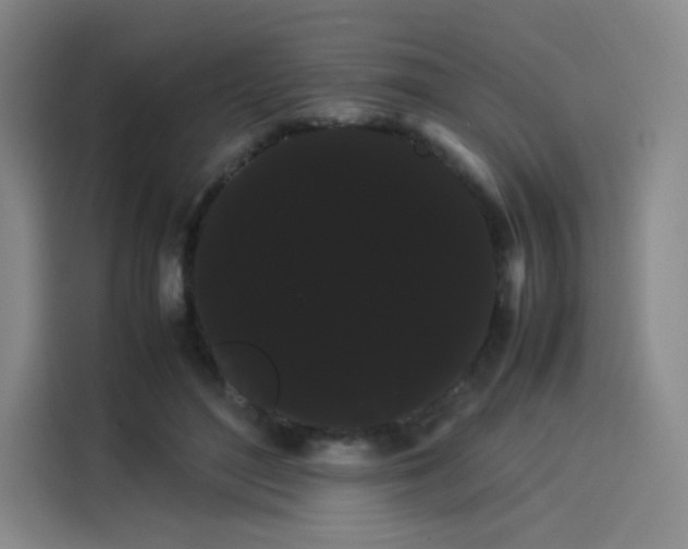 X0000114190500200910161207