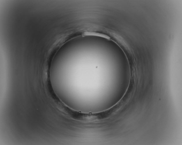X0000114190501200910161207