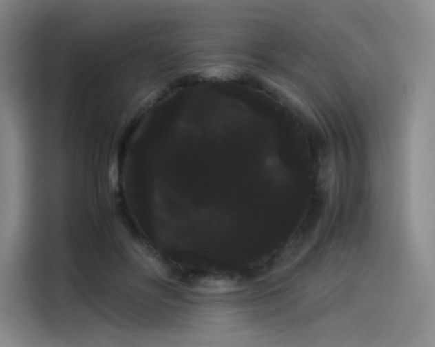 X0000114190502200910161207