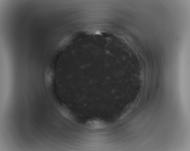 X0000114190503200910161207