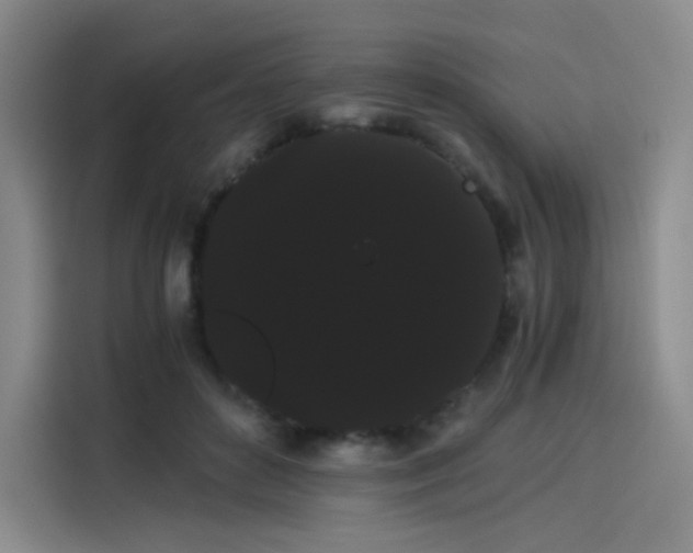 X0000114190504200910161207