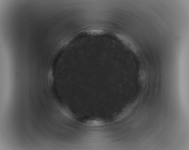 X0000114190506200910161207