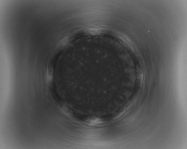 X0000114190507200910161207