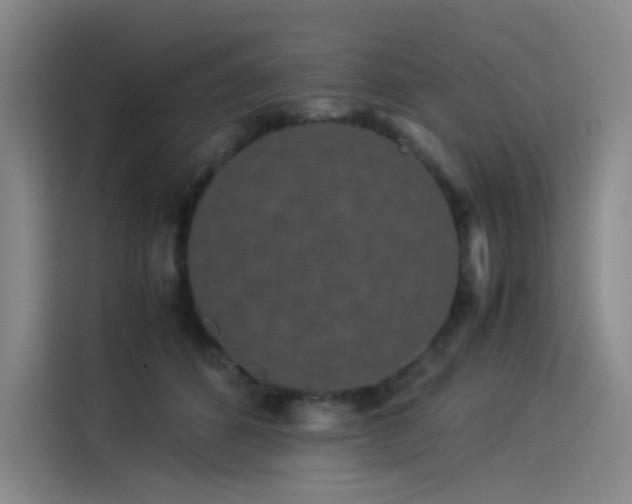 X0000114190512200910161207