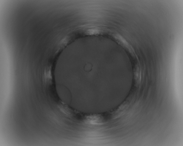 X0000114190516200910161207
