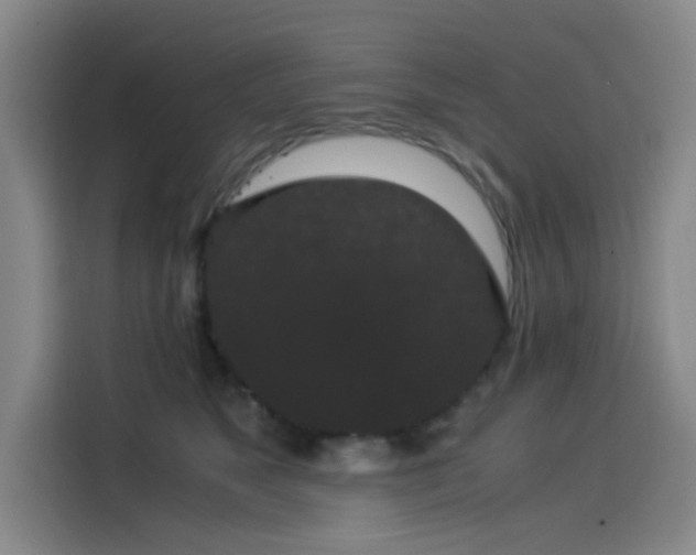 X0000114190517200910161207