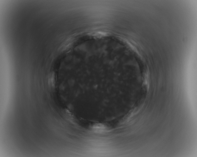 X0000114190519200910161207