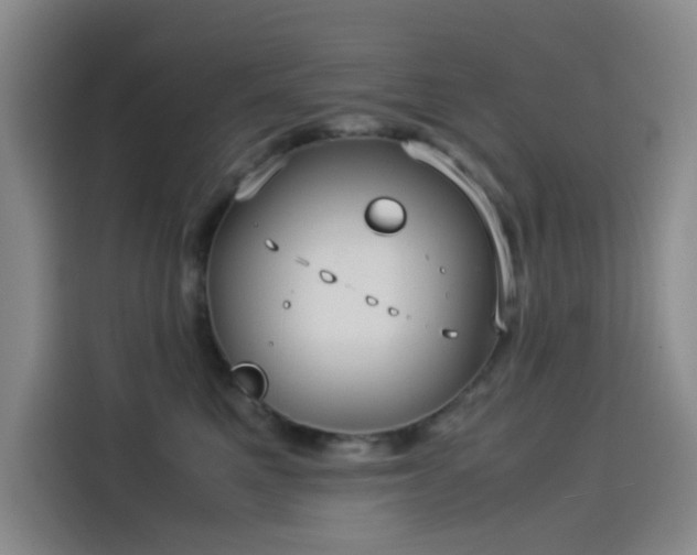 X0000114190521200910161207