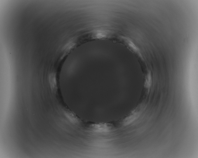 X0000114190524200910161207