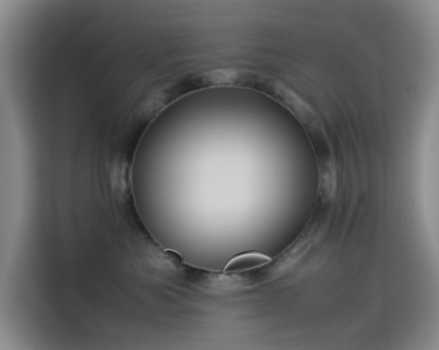 X0000114190525200910161207