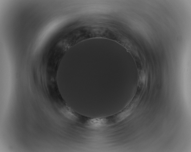 X0000114190526200910161207