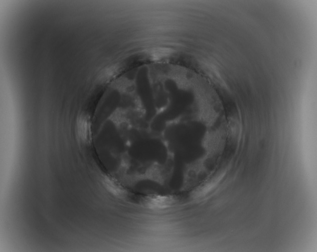 X0000114190527200910161207