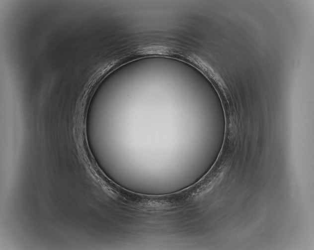 X0000114190529200910161206