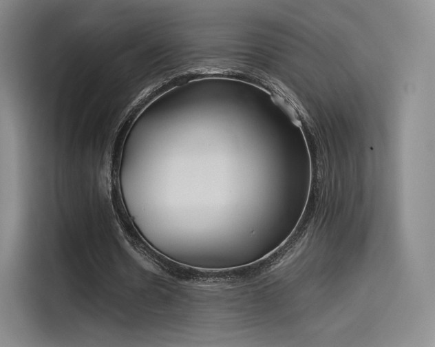 X0000114190530200910161206