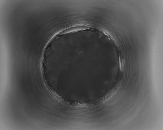 X0000114190531200910161206