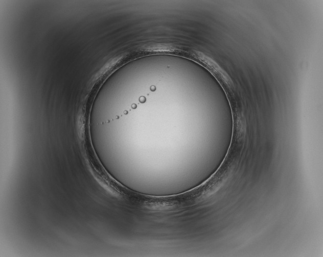 X0000114190533200910161207