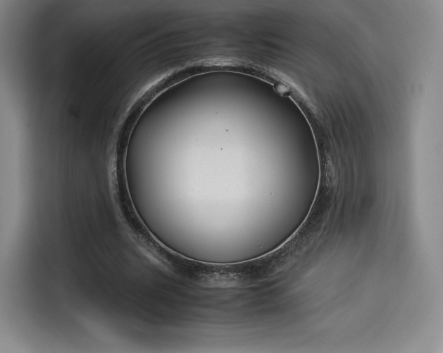 X0000114190535200910161207