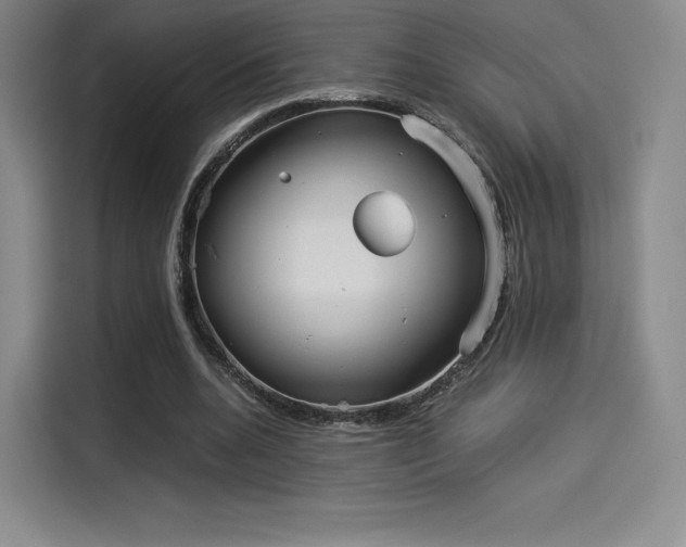 X0000114190536200910161207
