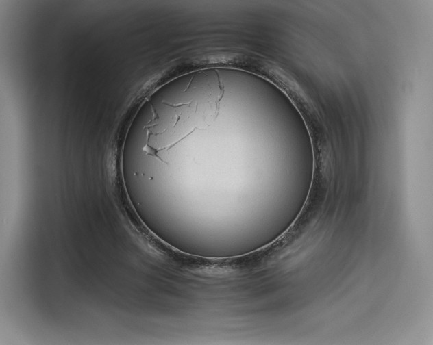X0000114190537200910161207