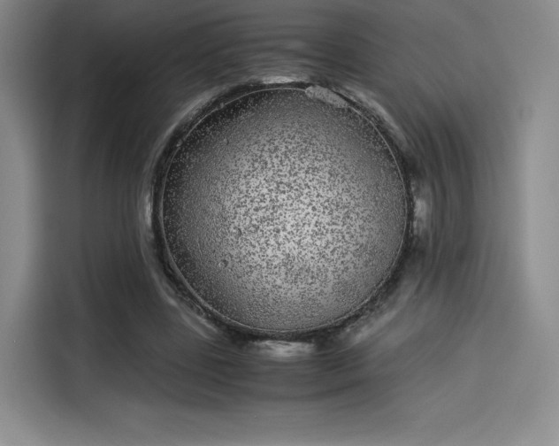 X0000114190539200910161207