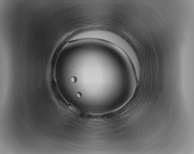 X0000114190540200910161207