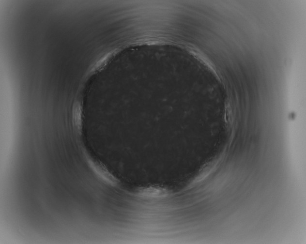 X0000114190542200910161207