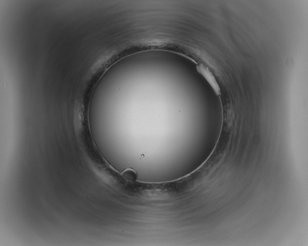 X0000114190544200910161207