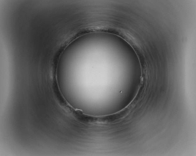 X0000114190546200910161207